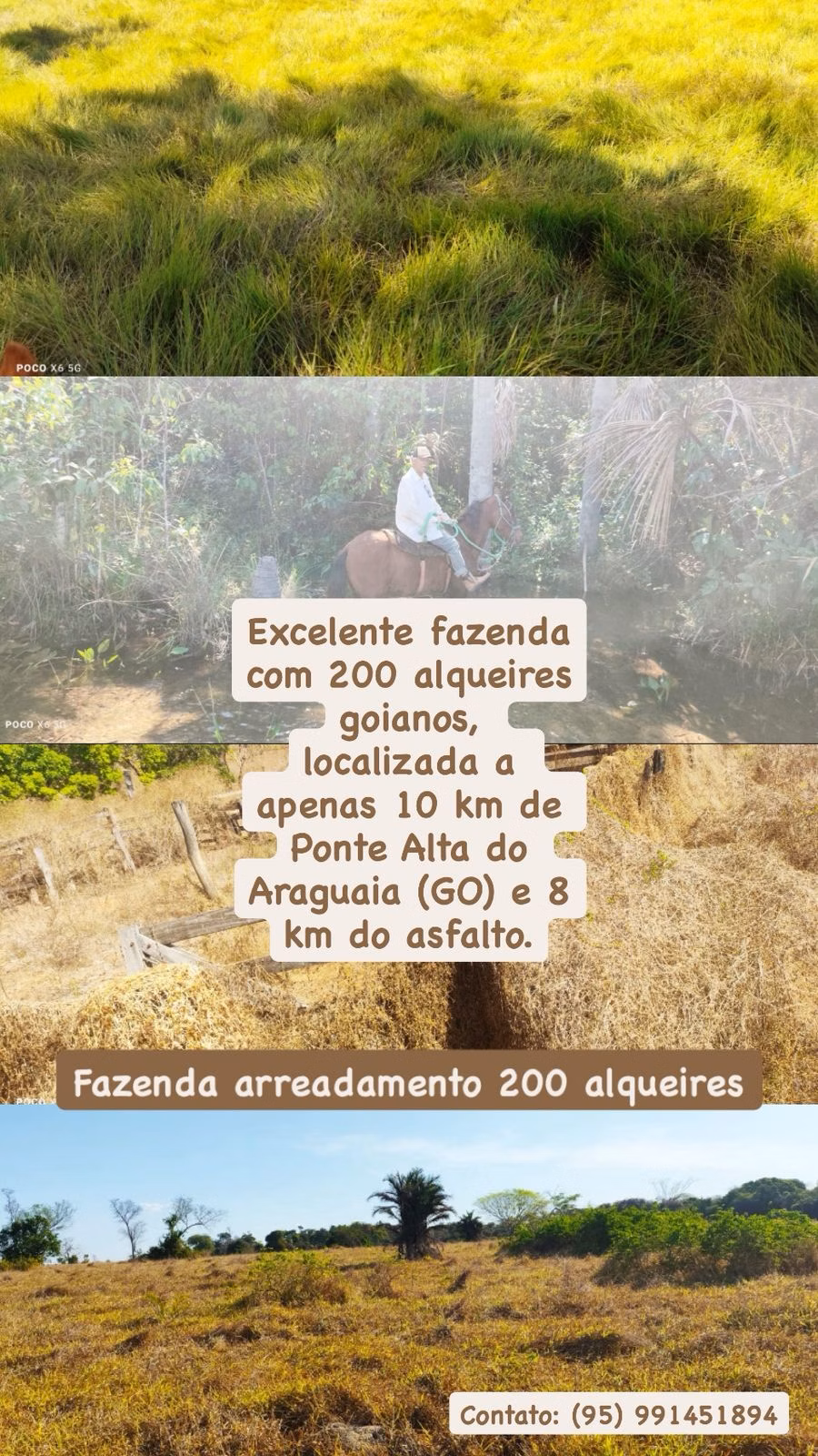 Fazenda de 200 ha em Pontal do Araguaia, MT