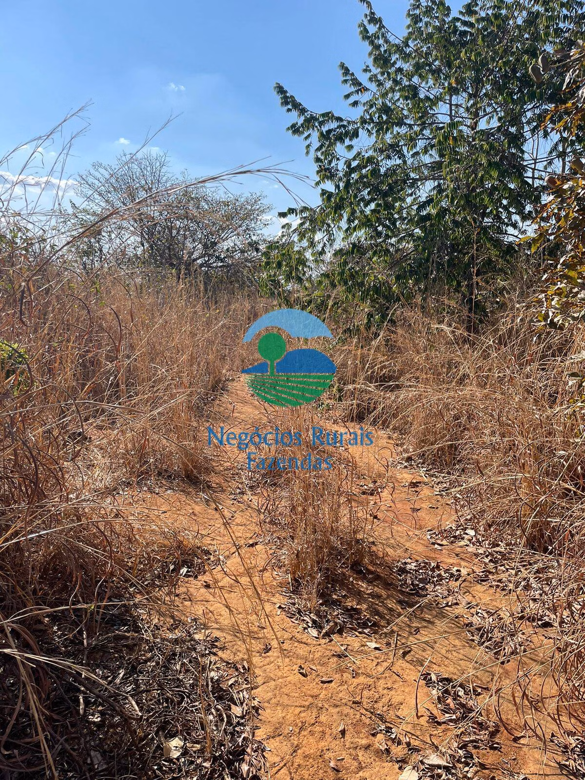 Farm of 1.794 acres in Porangatu, GO, Brazil