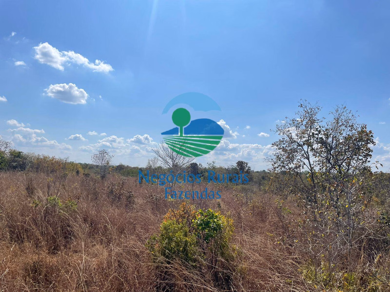 Fazenda de 726 ha em Porangatu, GO
