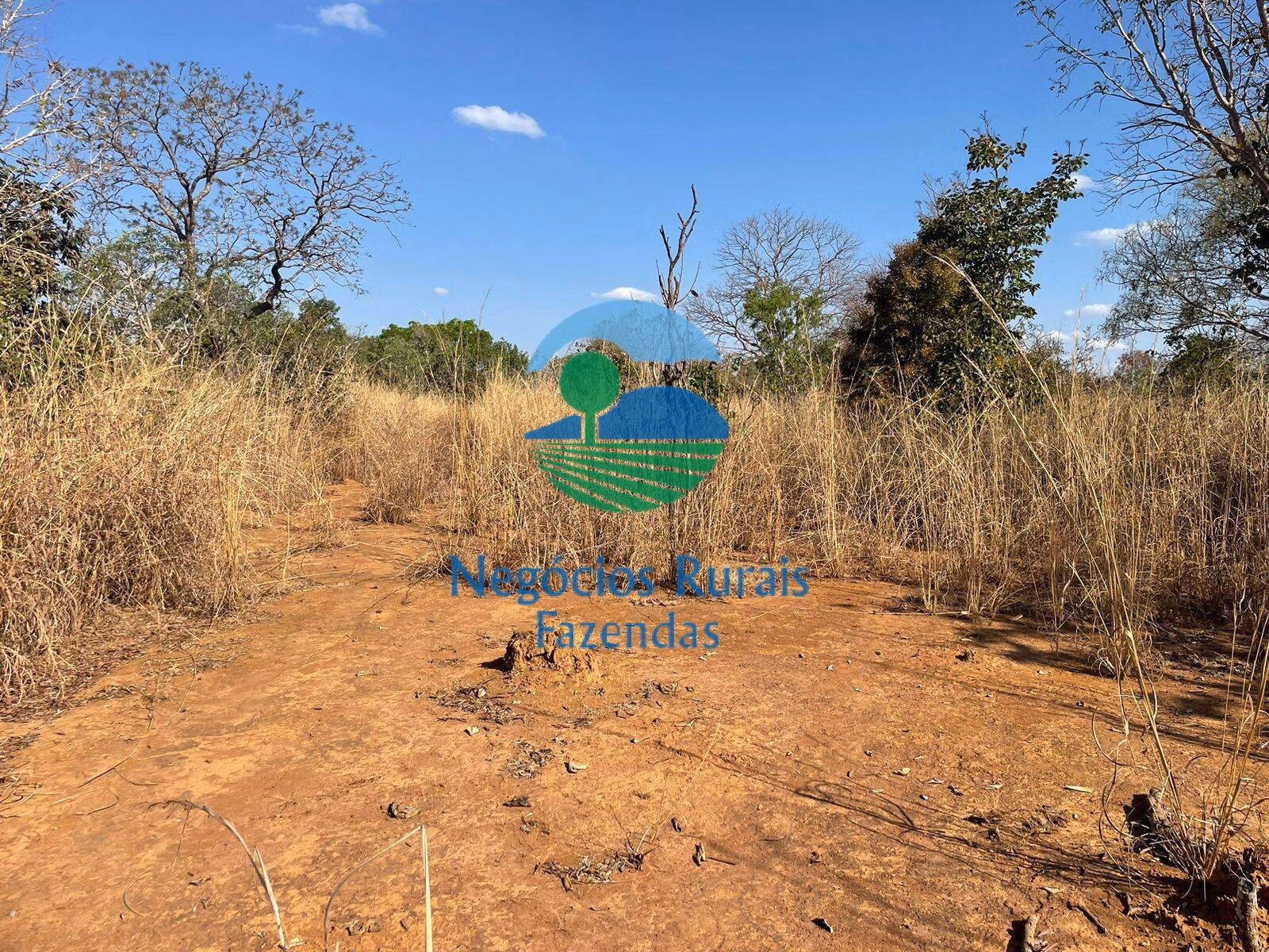 Fazenda de 726 ha em Porangatu, GO