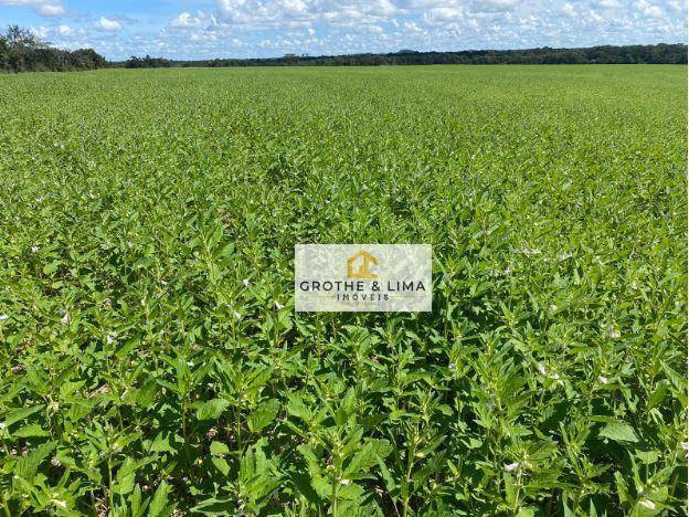 Farm of 2.797 acres in Araguaína, TO, Brazil