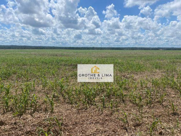 Farm of 2.797 acres in Araguaína, TO, Brazil