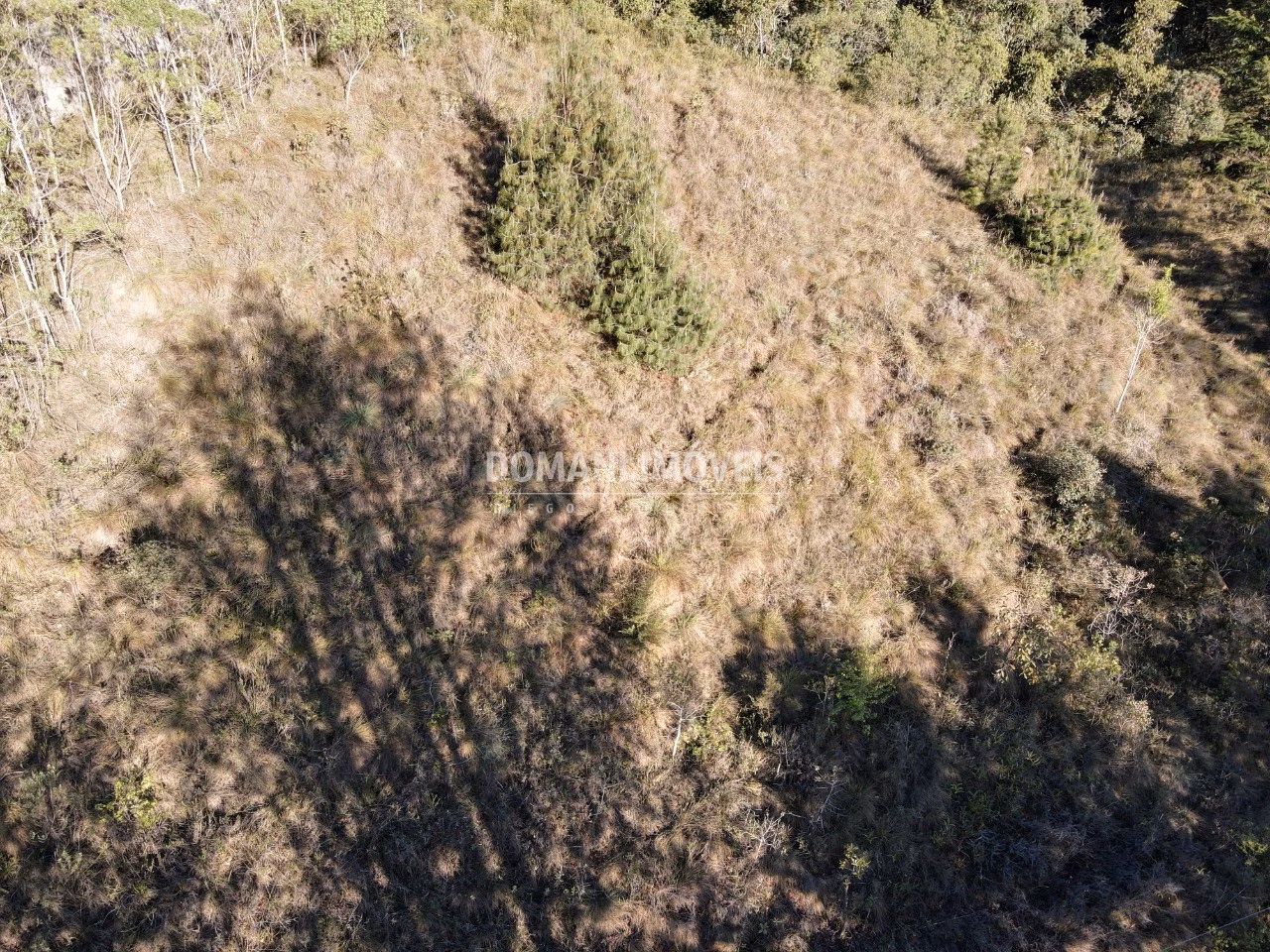 Plot of 2,910 m² in Campos do Jordão, SP, Brazil