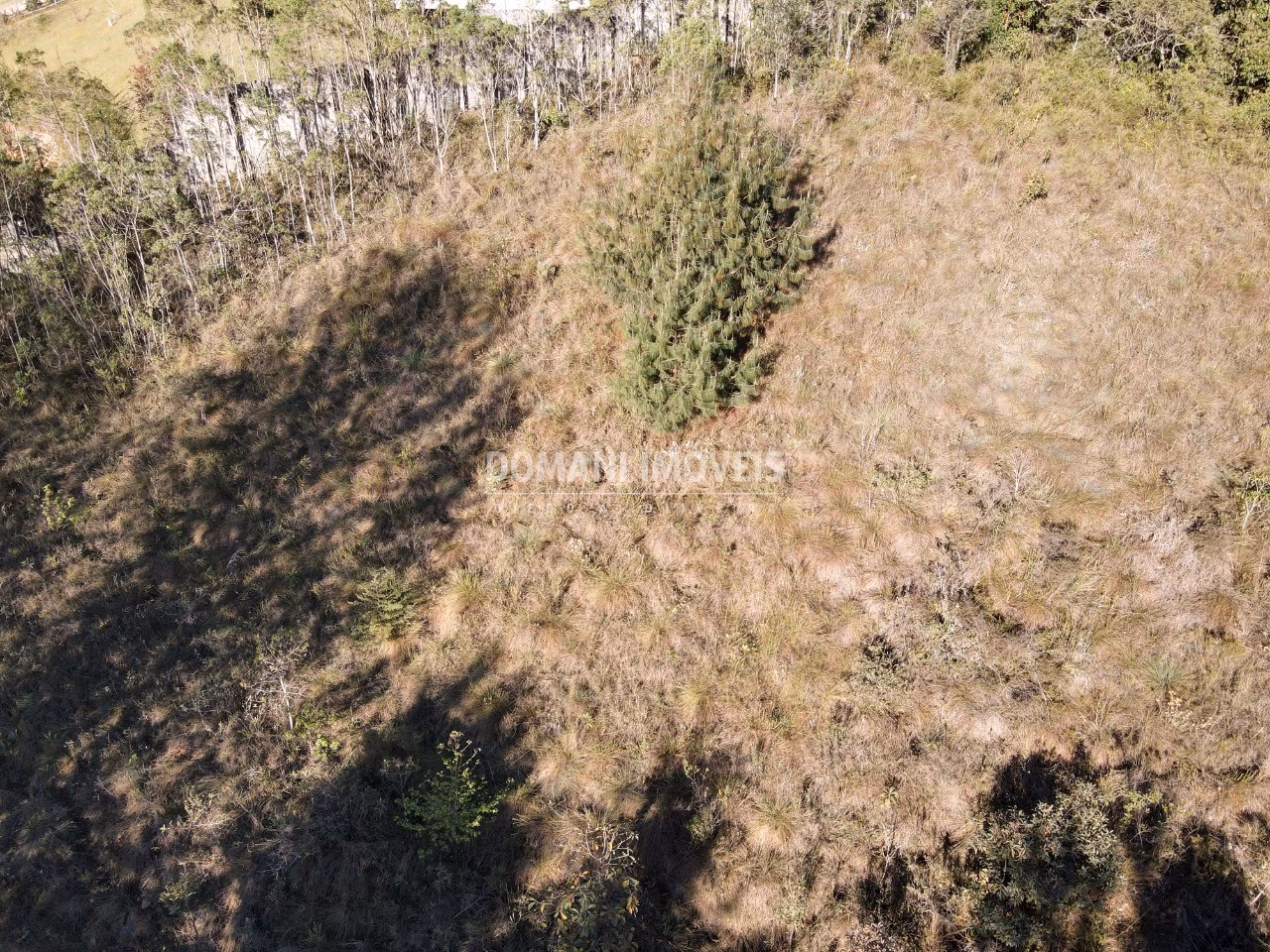 Plot of 2,910 m² in Campos do Jordão, SP, Brazil