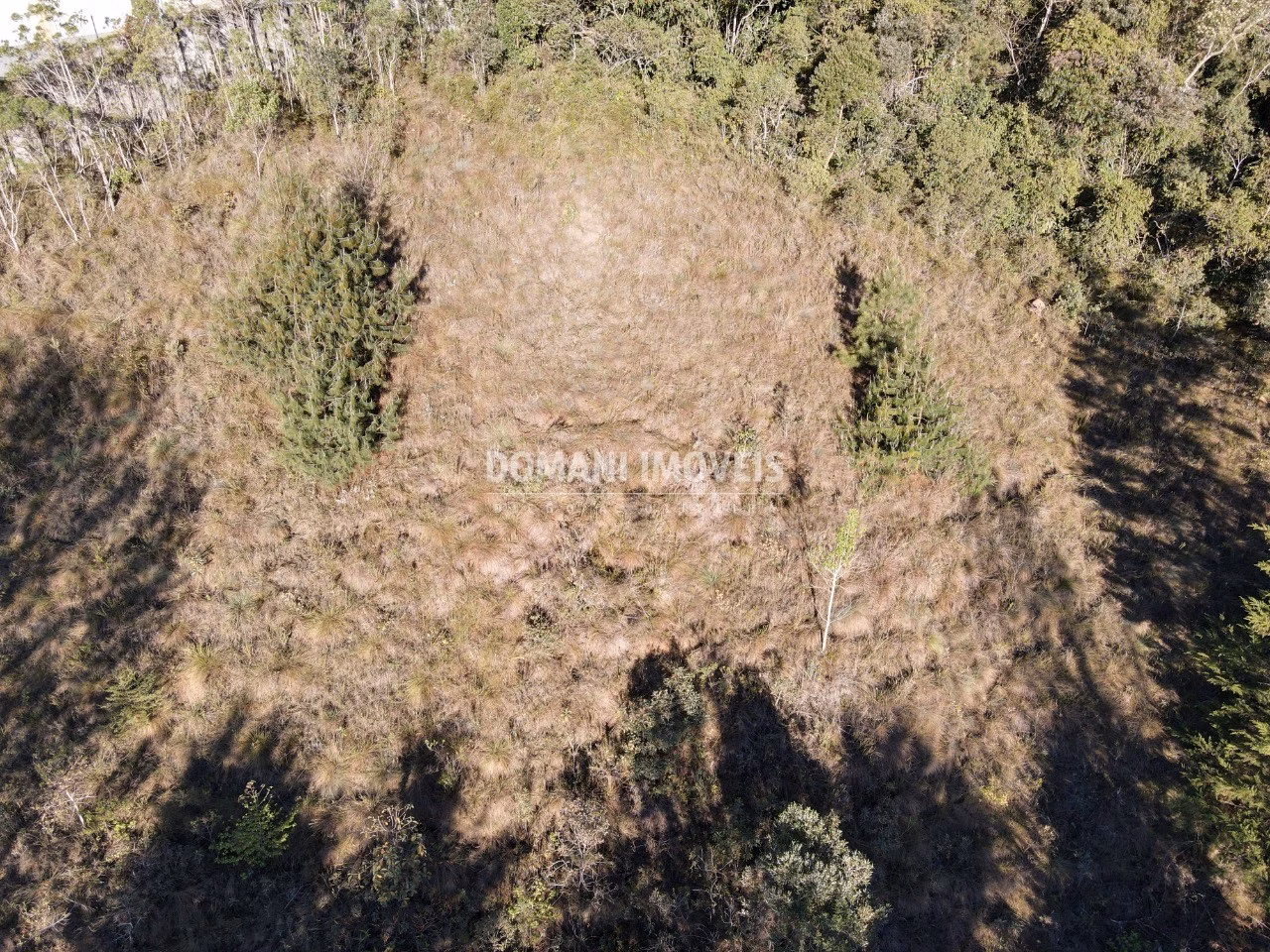 Plot of 2,910 m² in Campos do Jordão, SP, Brazil
