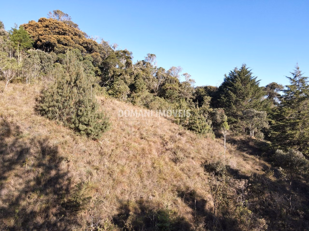 Plot of 2,910 m² in Campos do Jordão, SP, Brazil