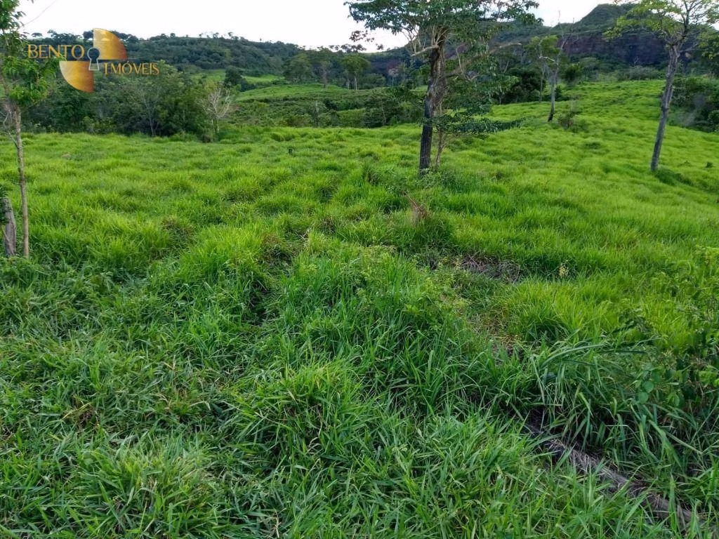 Fazenda de 2.508 ha em Pedra Preta, MT