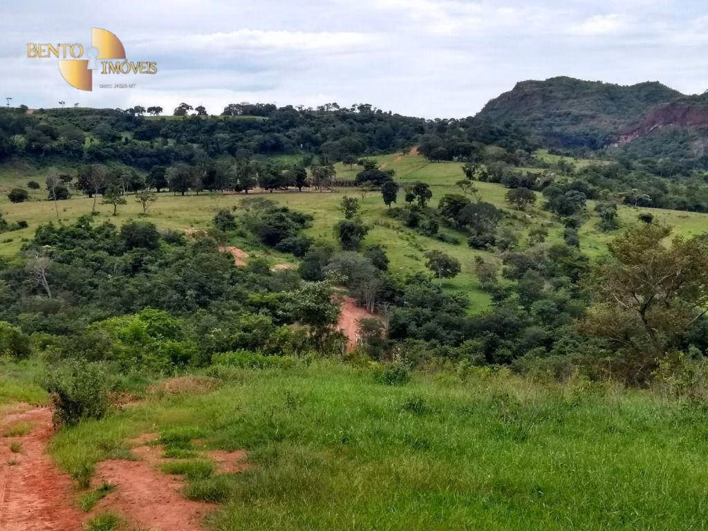 Fazenda de 2.508 ha em Pedra Preta, MT