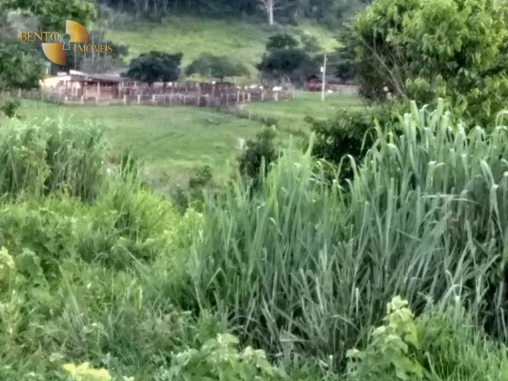 Fazenda de 2.508 ha em Pedra Preta, MT
