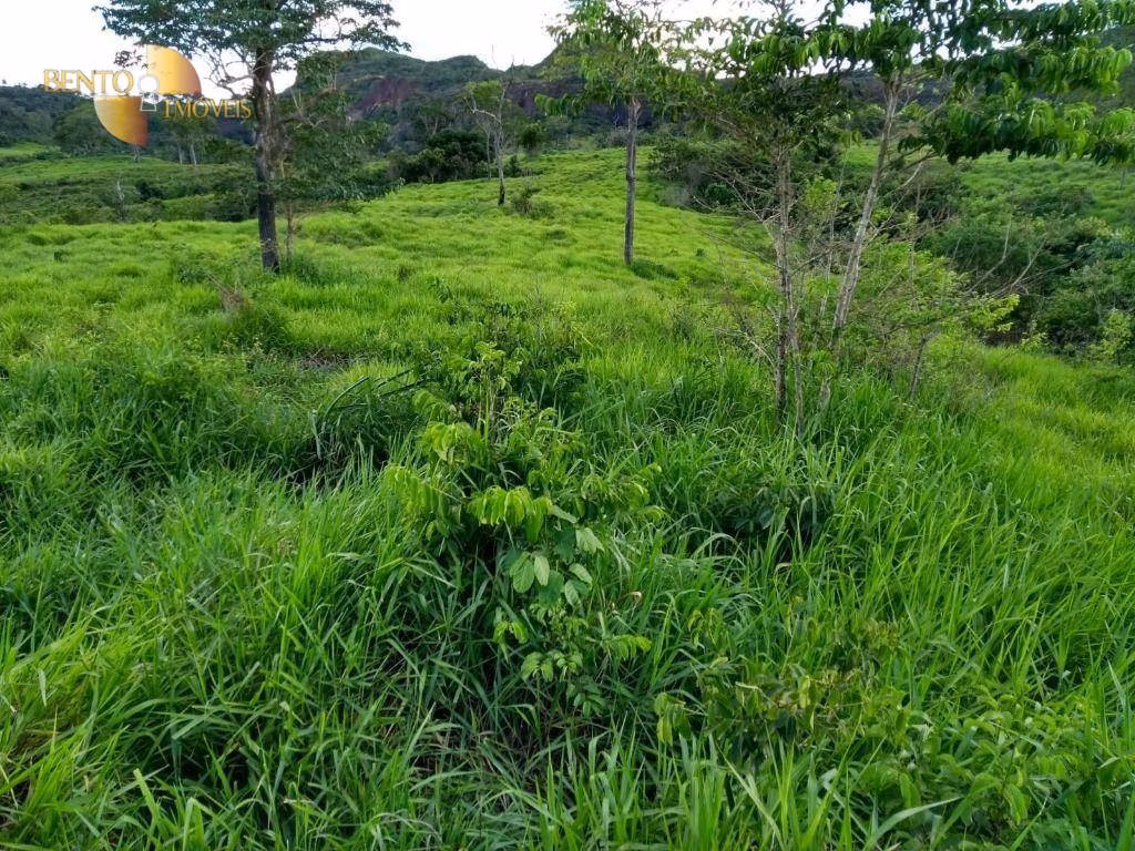Fazenda de 2.508 ha em Pedra Preta, MT