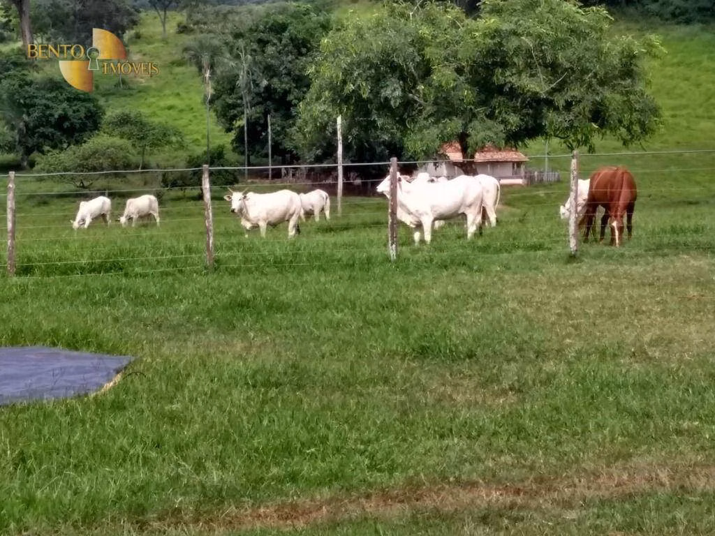 Fazenda de 2.508 ha em Pedra Preta, MT