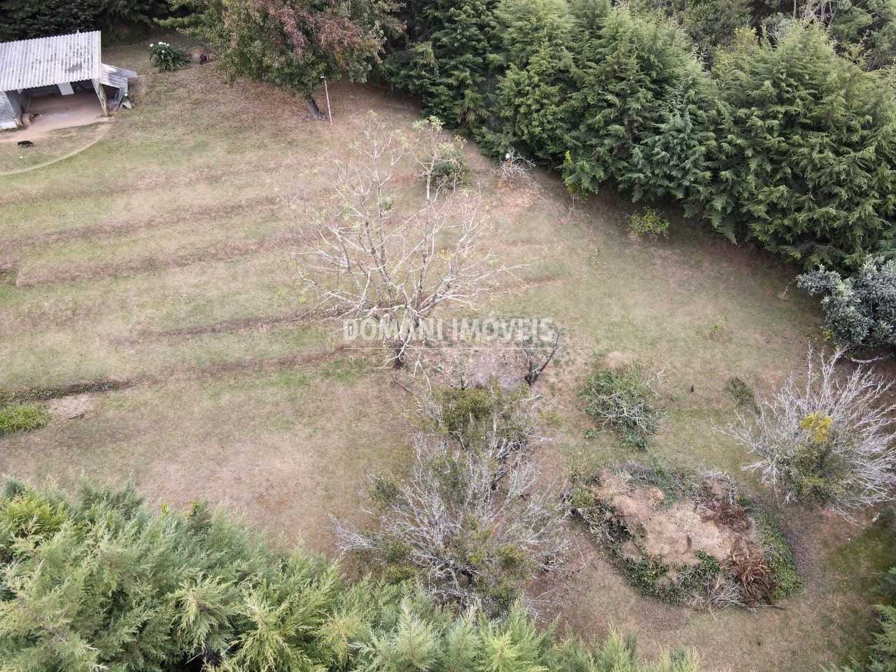 Plot of 1,590 m² in Campos do Jordão, SP, Brazil