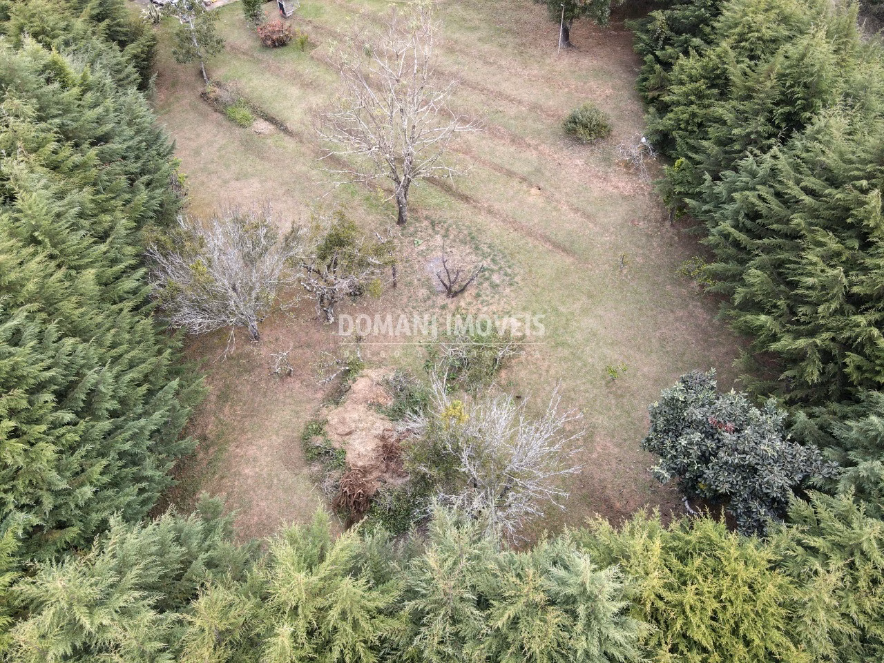Plot of 1,590 m² in Campos do Jordão, SP, Brazil