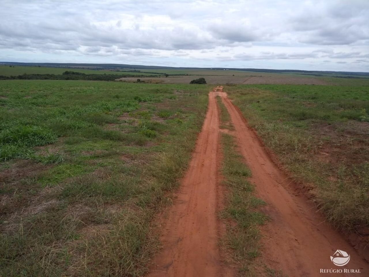 Farm of 4,942 acres in Bandeirantes, MS, Brazil