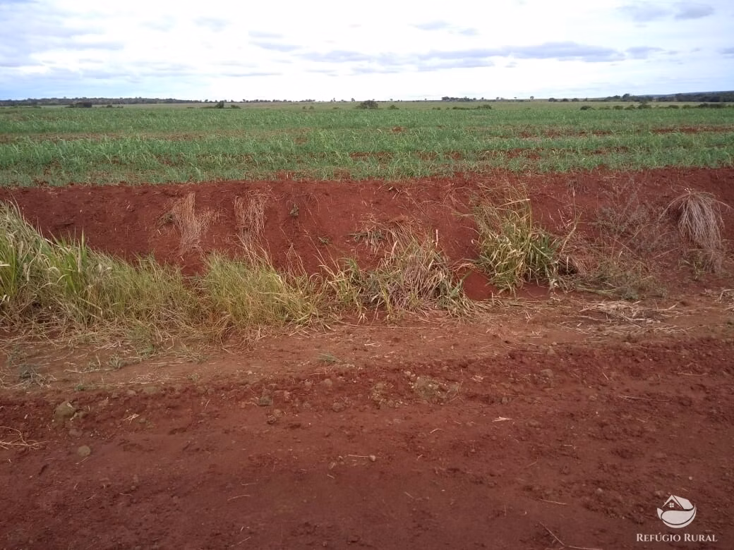 Fazenda de 2.000 ha em Bandeirantes, MS
