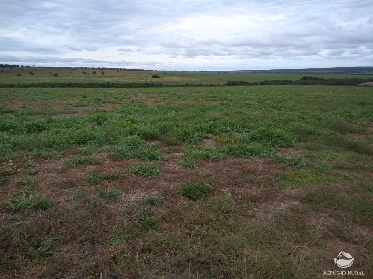 Farm of 4,942 acres in Bandeirantes, MS, Brazil
