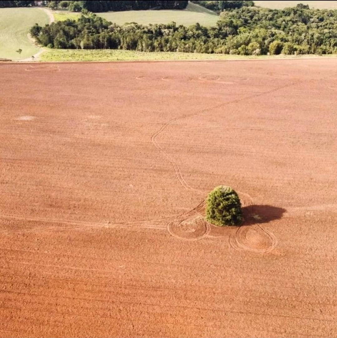 Farm of 251 acres in Itapetininga, SP, Brazil