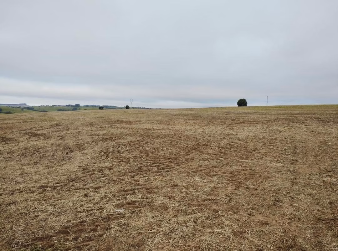Farm of 251 acres in Itapetininga, SP, Brazil