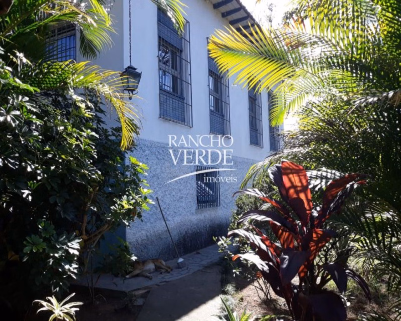 Fazenda de 242 ha em Queluz, SP