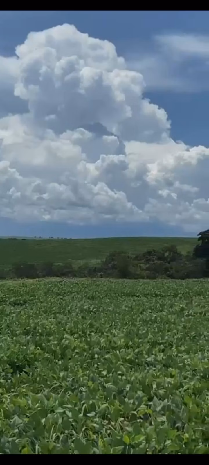 Fazenda de 557 ha em Luziânia, GO