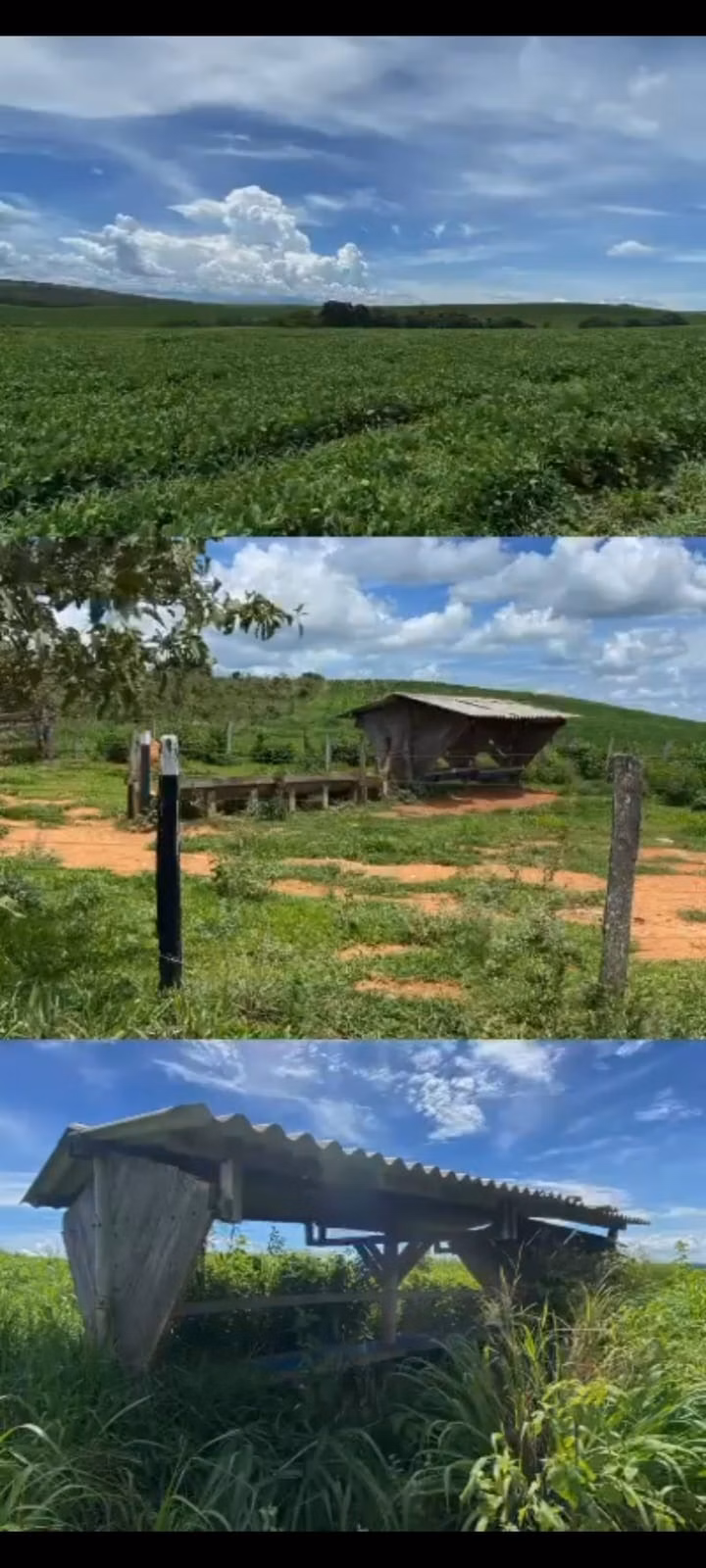Fazenda de 557 ha em Luziânia, GO