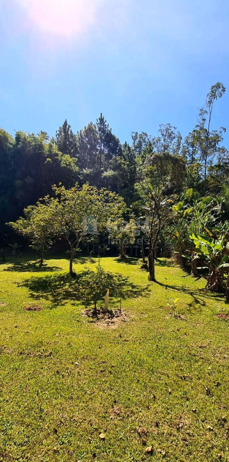 Fazenda de 7.000 m² em Canelinha, SC