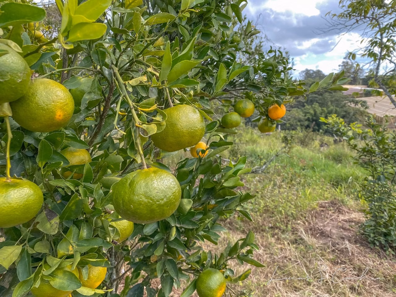 Small farm of 60 acres in São Miguel Arcanjo, SP, Brazil