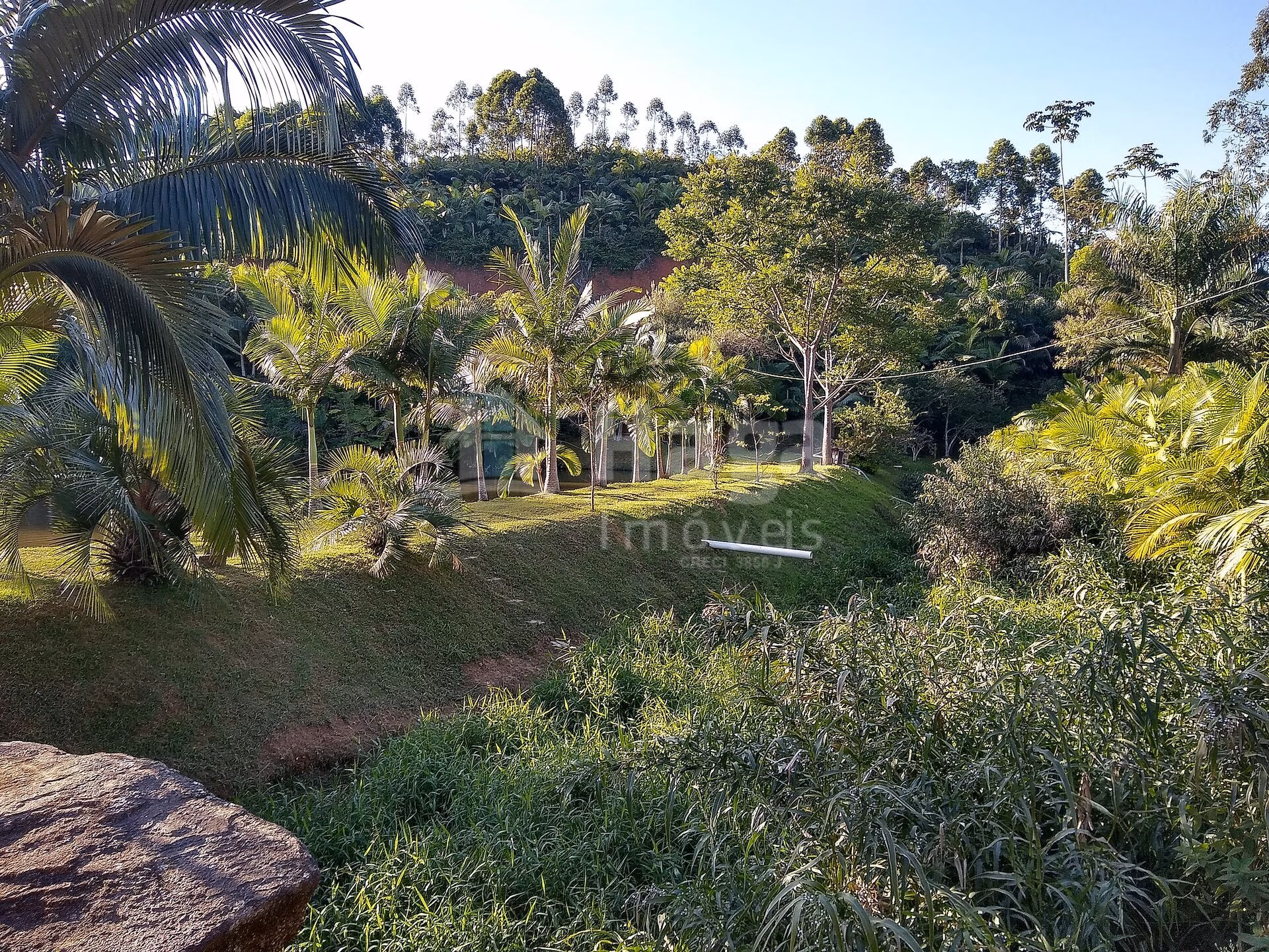 Fazenda de 4 ha em Massaranduba, SC
