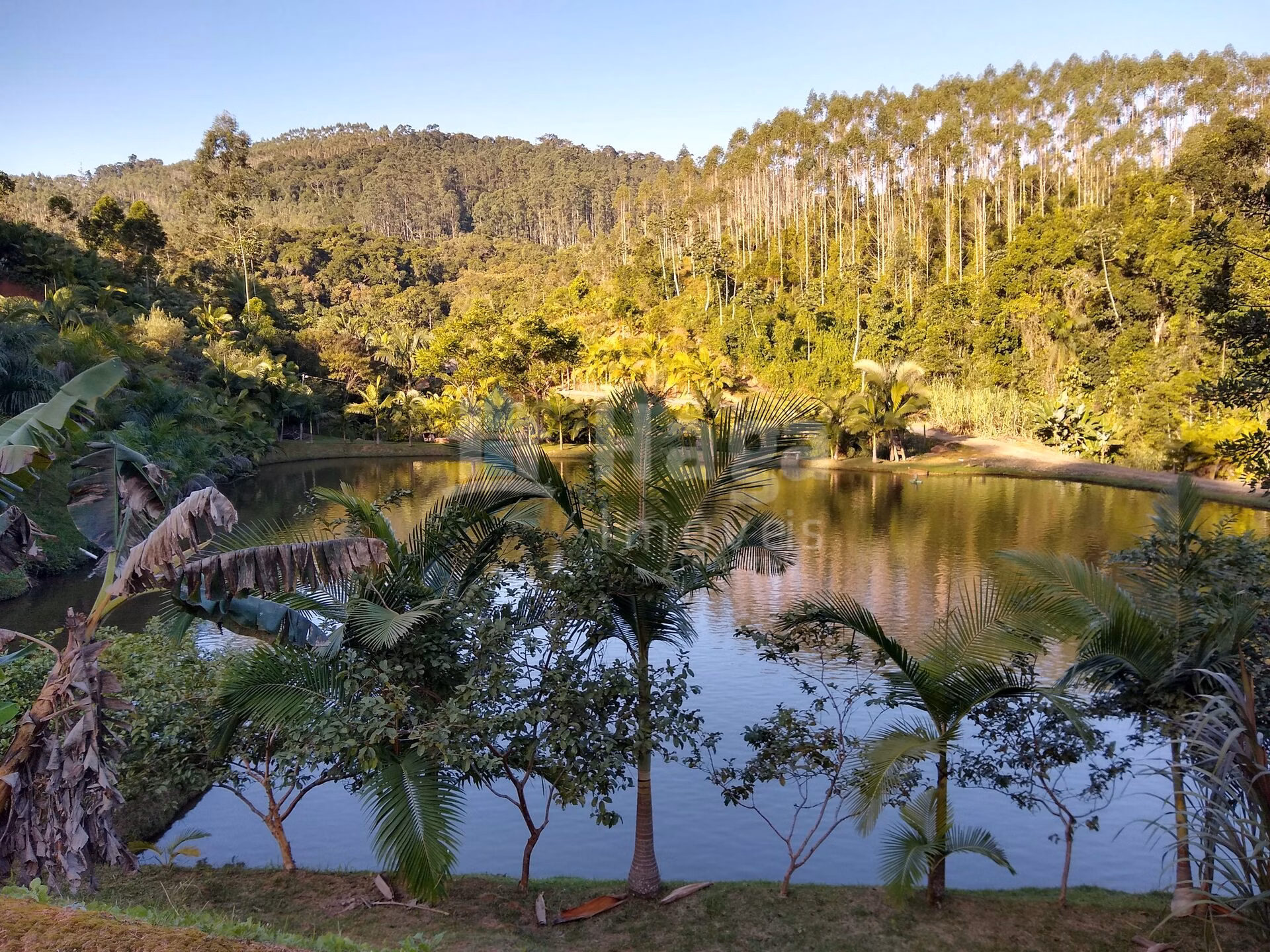 Fazenda de 4 ha em Massaranduba, SC