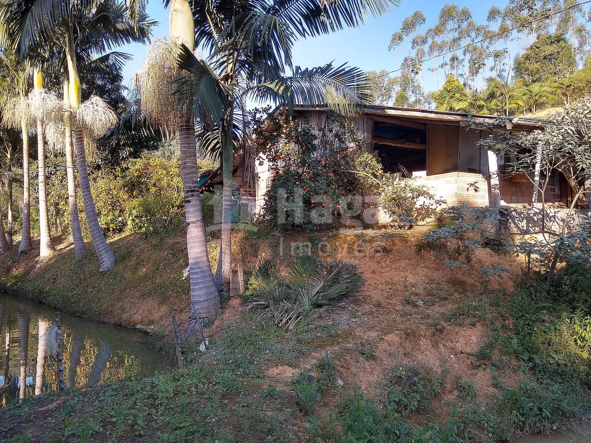 Fazenda de 4 ha em Massaranduba, SC