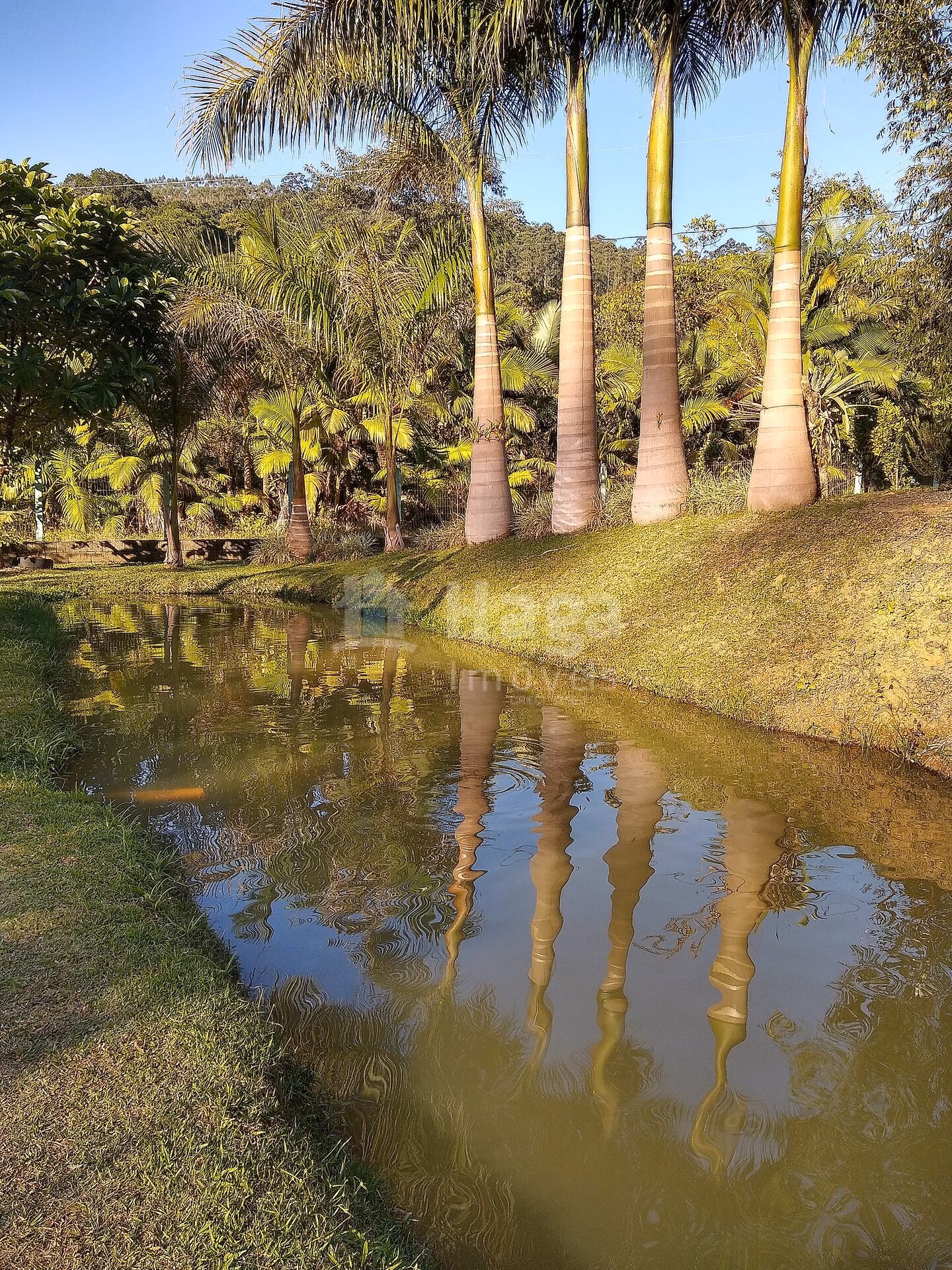 Fazenda de 4 ha em Massaranduba, SC