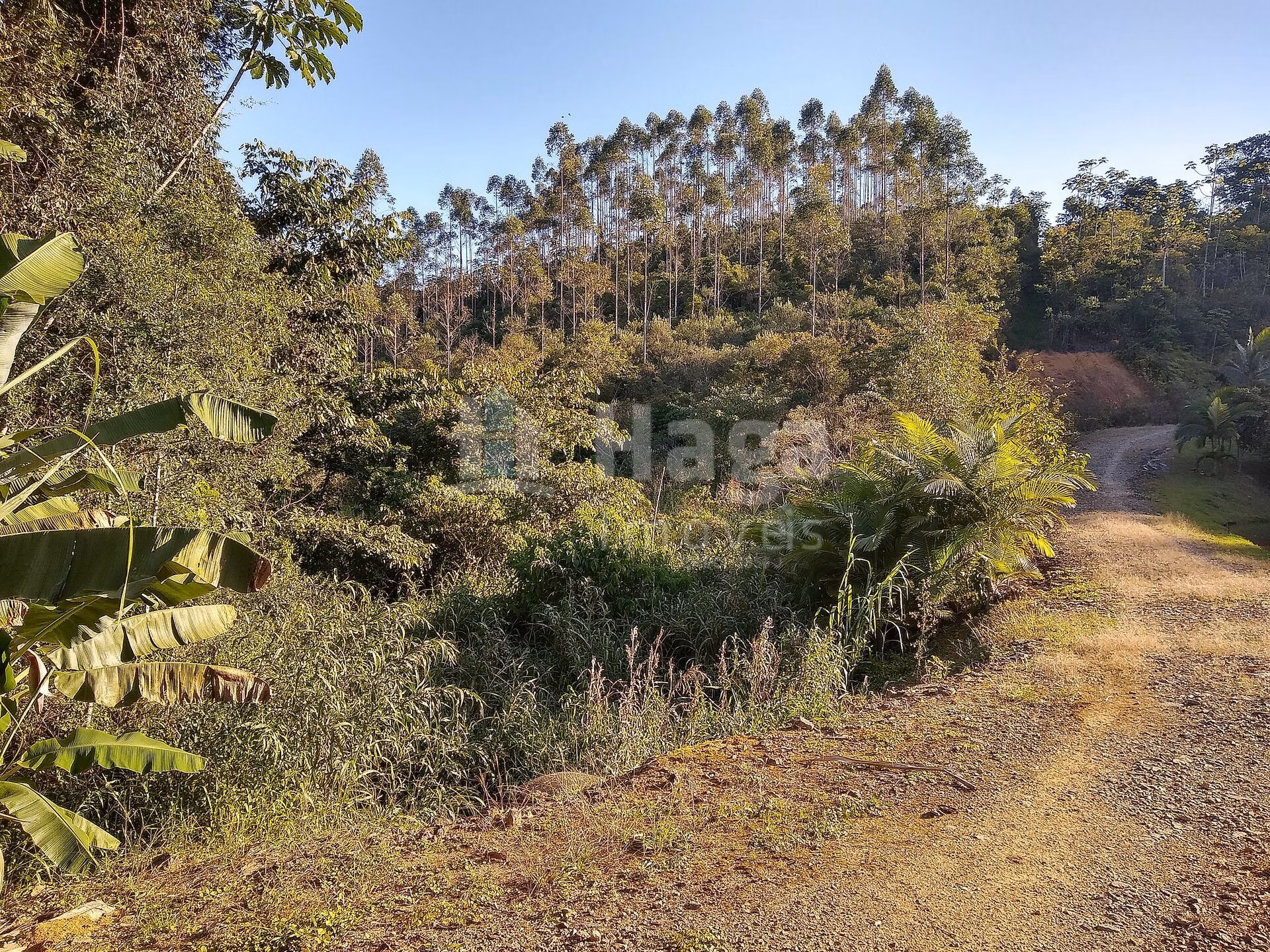Fazenda de 4 ha em Massaranduba, SC