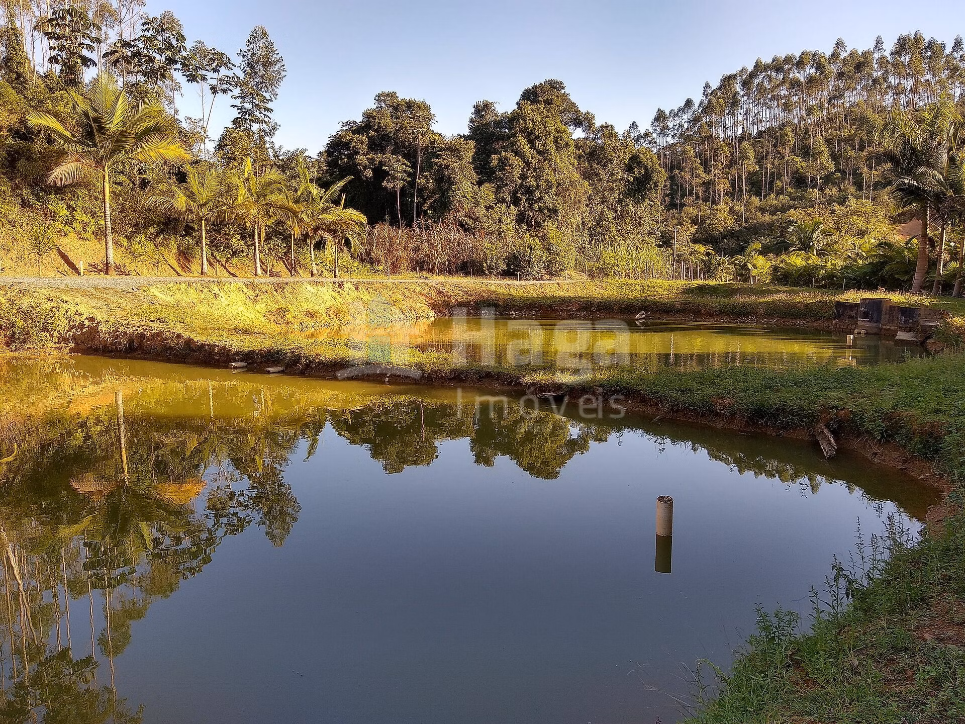 Fazenda de 4 ha em Massaranduba, SC