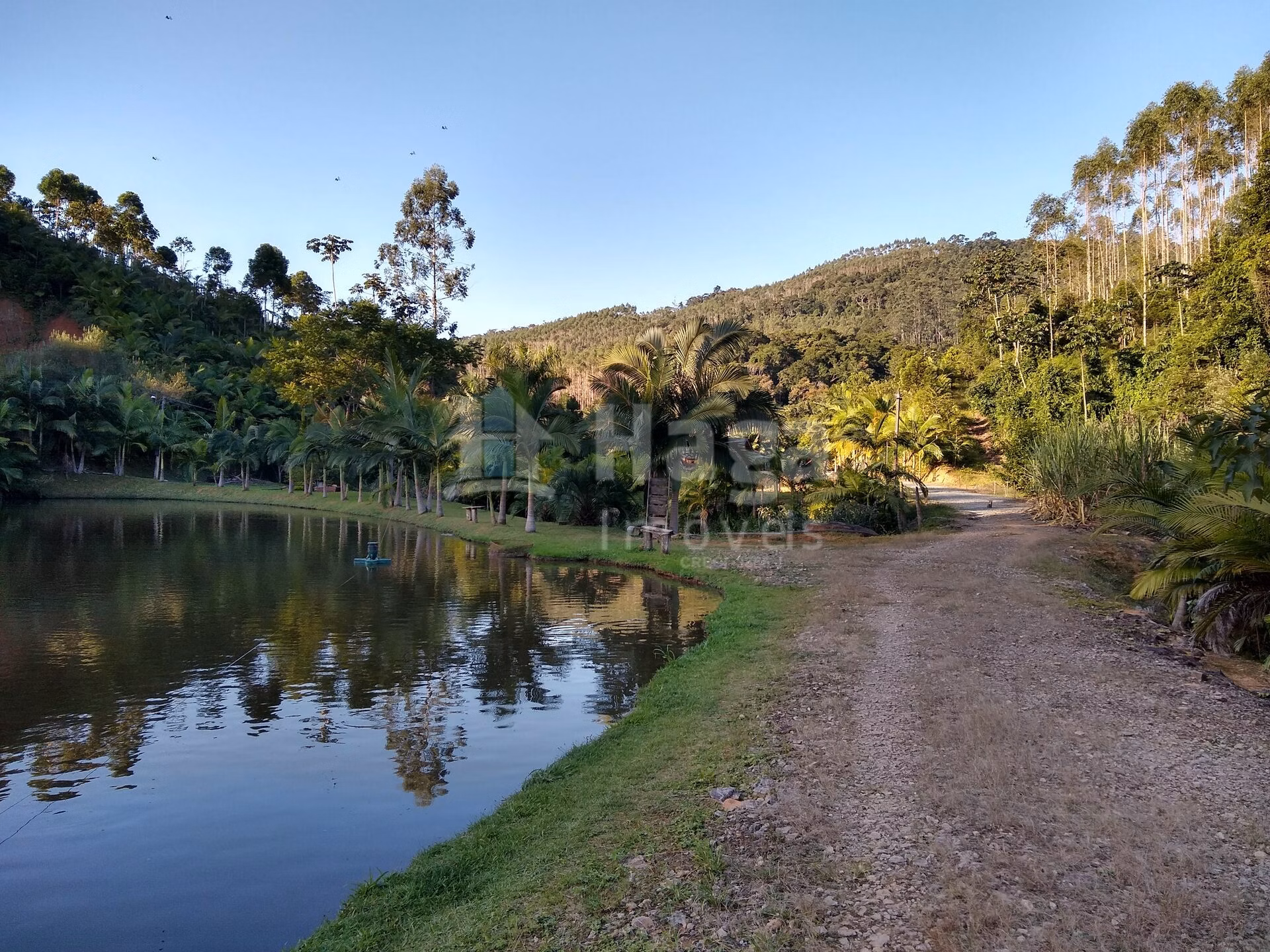 Fazenda de 4 ha em Massaranduba, SC