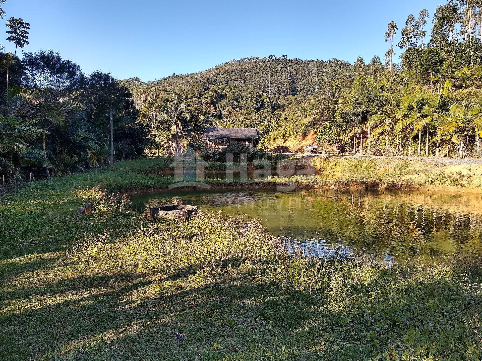 Fazenda de 4 ha em Massaranduba, SC