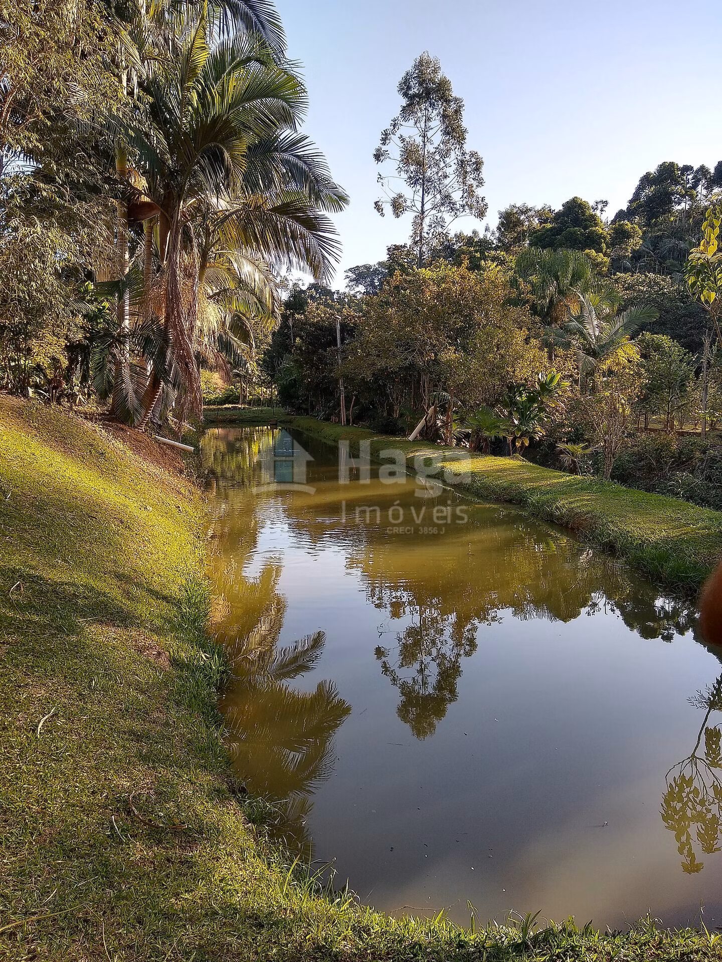 Fazenda de 4 ha em Massaranduba, SC