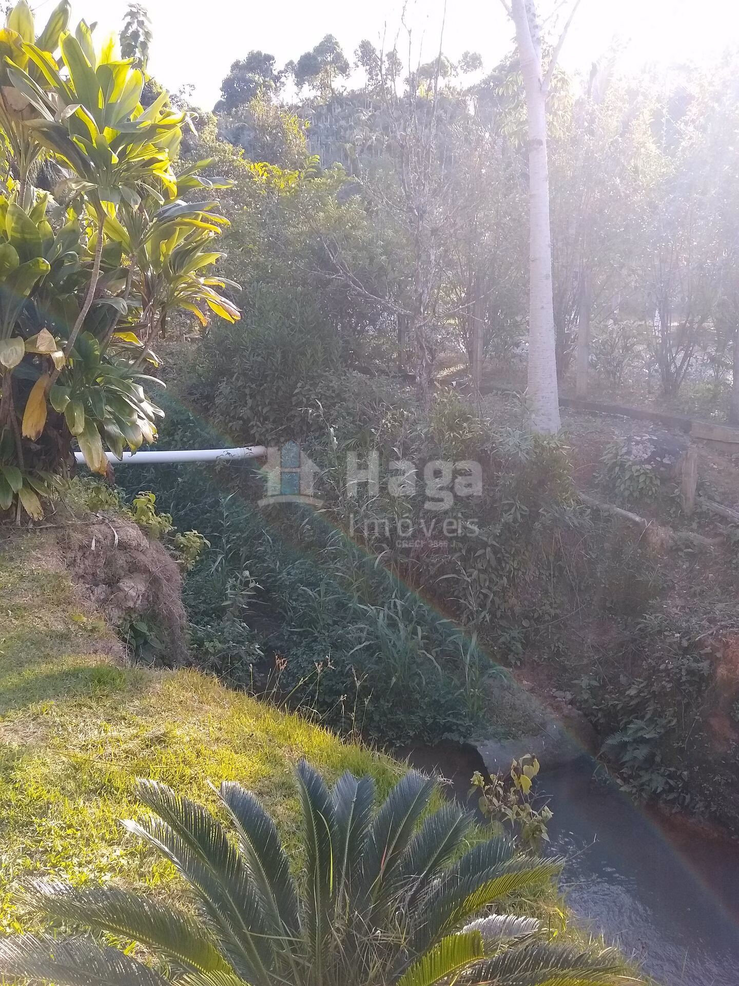 Fazenda de 4 ha em Massaranduba, SC