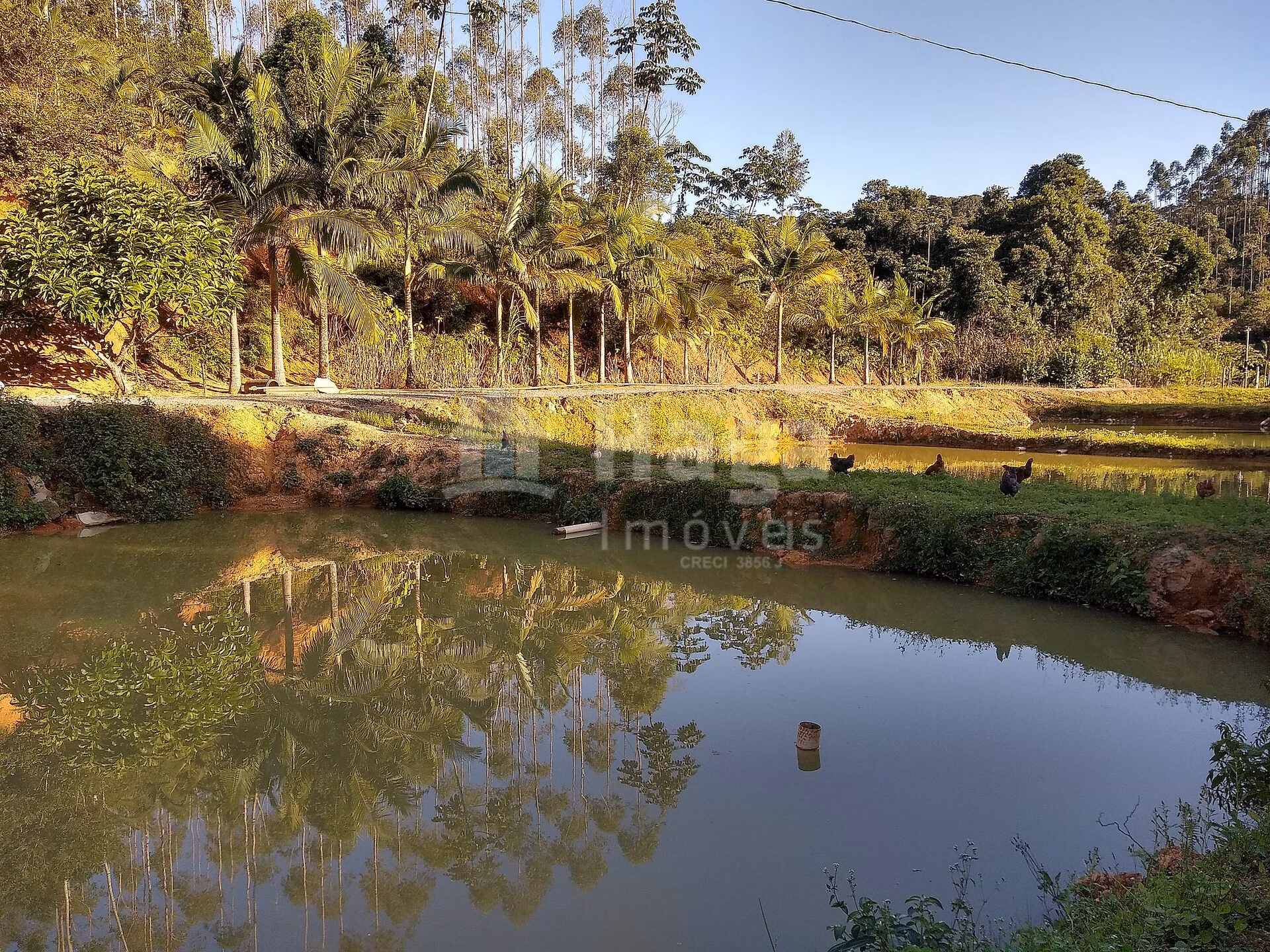 Fazenda de 4 ha em Massaranduba, SC