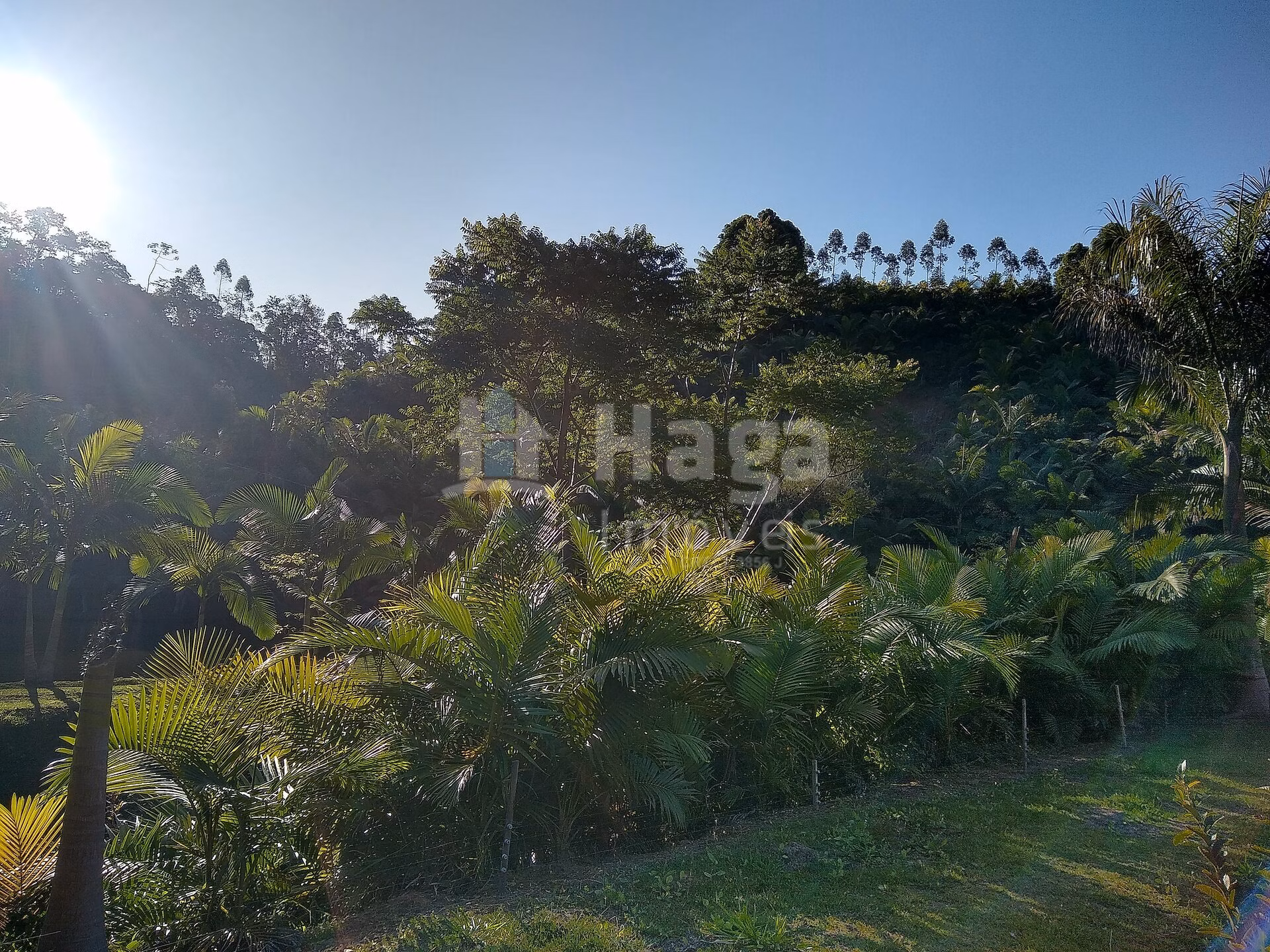Fazenda de 4 ha em Massaranduba, SC