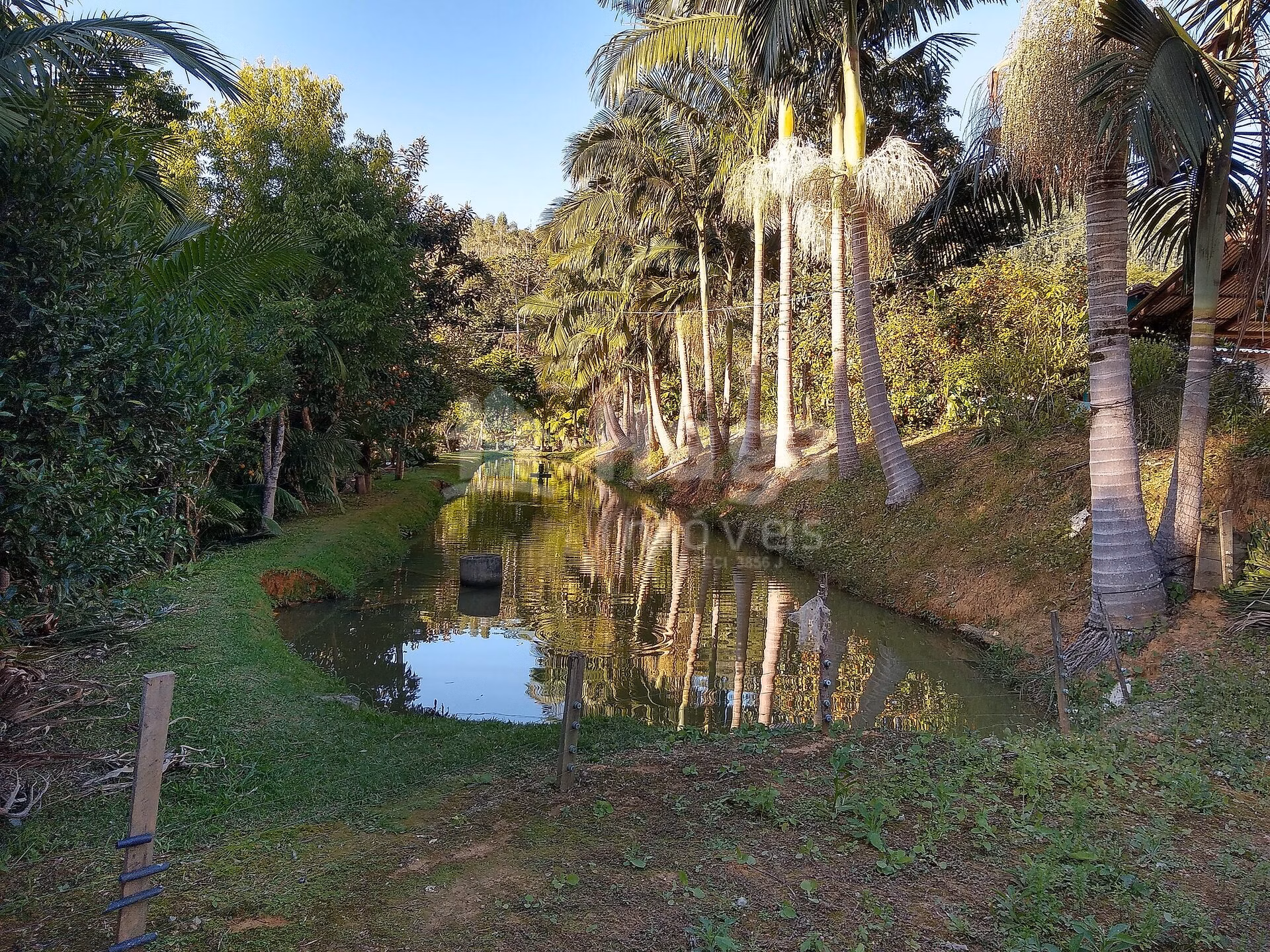 Fazenda de 4 ha em Massaranduba, SC