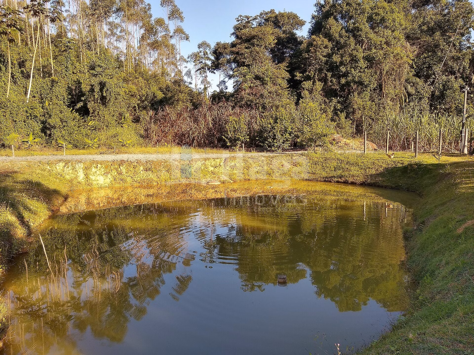 Fazenda de 4 ha em Massaranduba, SC