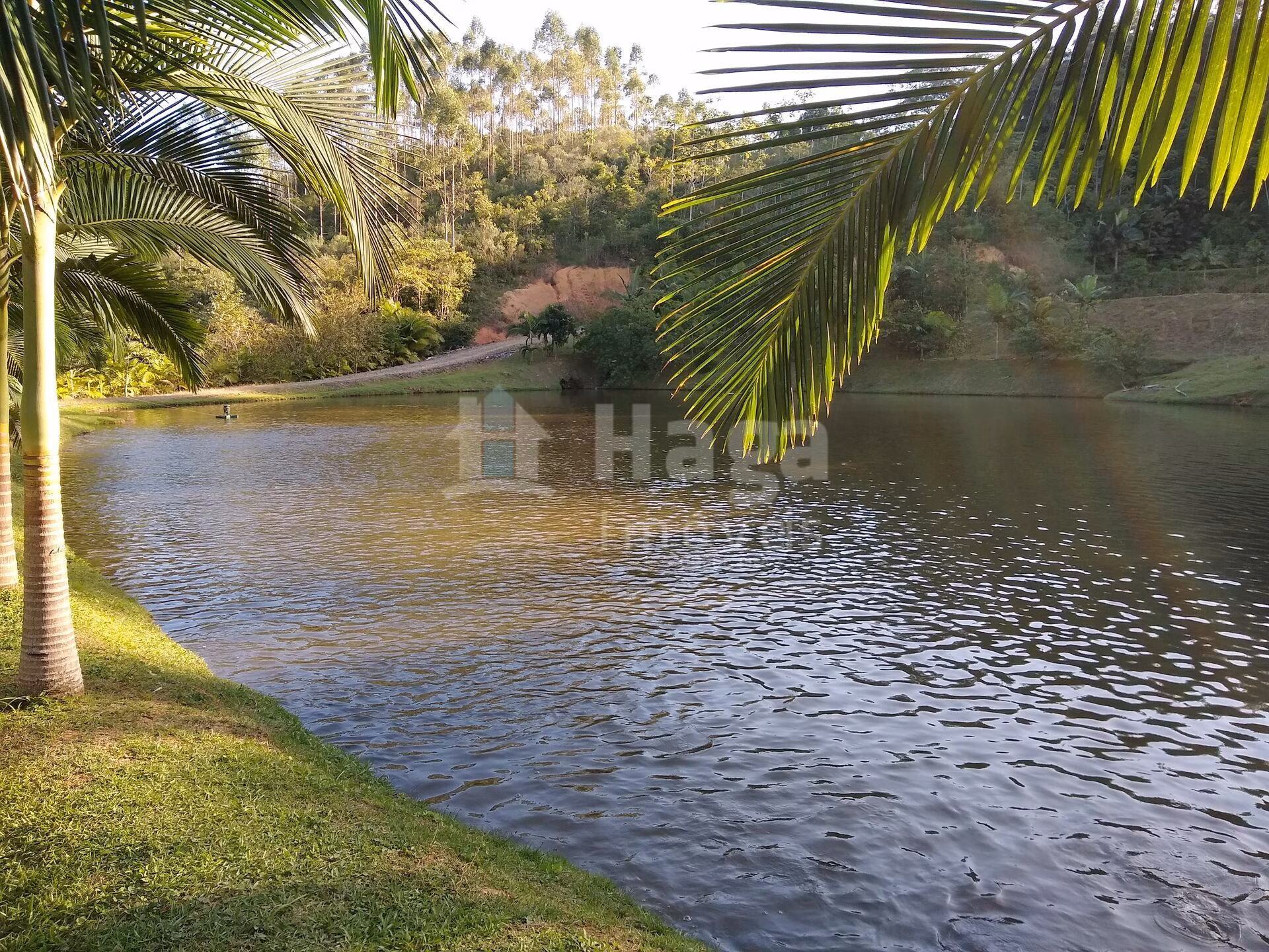 Fazenda de 4 ha em Massaranduba, SC
