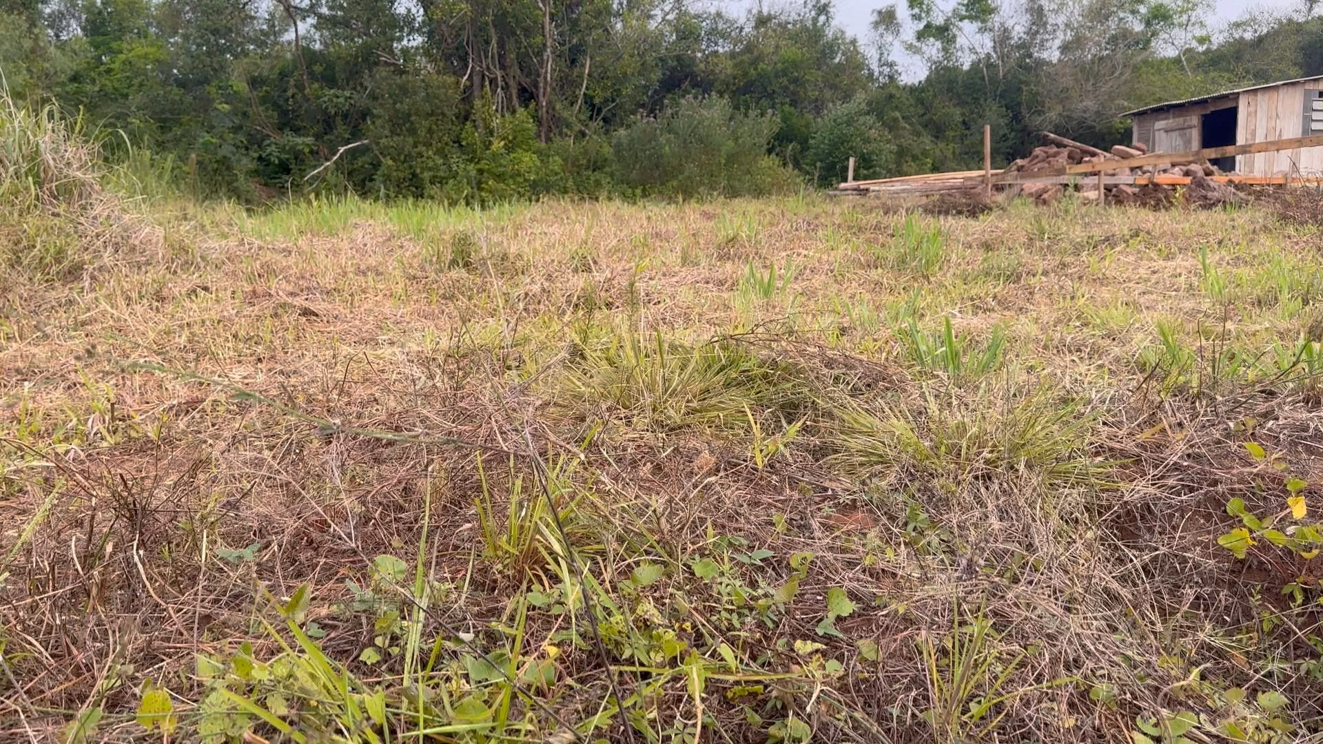 Terreno de 250 m² em Santo Antônio da Patrulha, RS