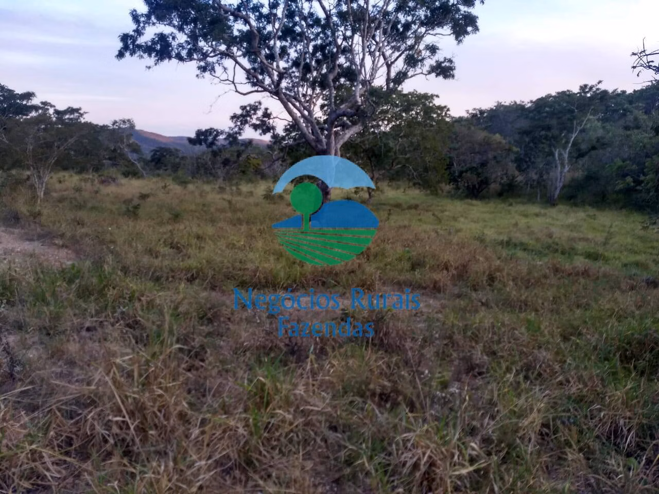 Fazenda de 275 ha em Ipameri, GO