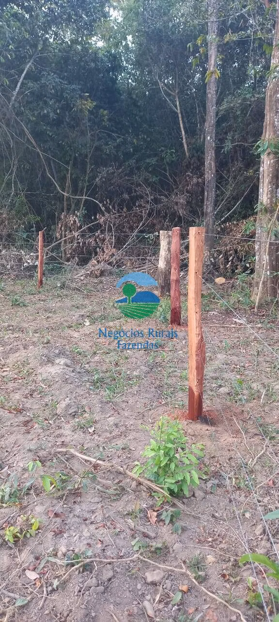 Fazenda de 275 ha em Ipameri, GO