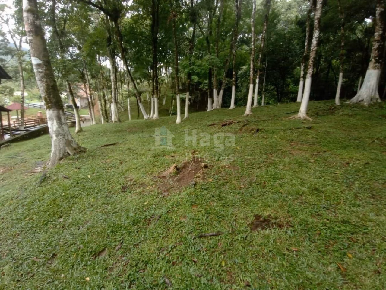Farm of 4 acres in Rio dos Cedros, SC, Brazil