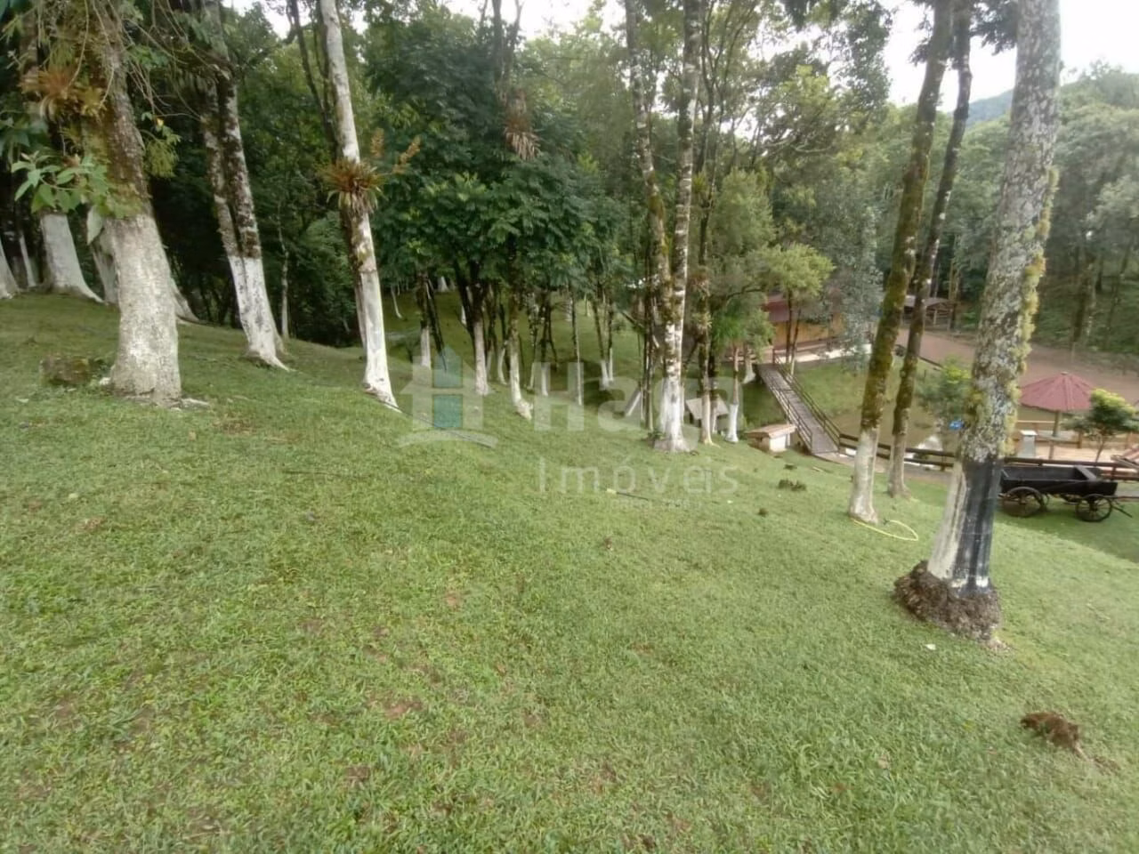 Farm of 4 acres in Rio dos Cedros, SC, Brazil