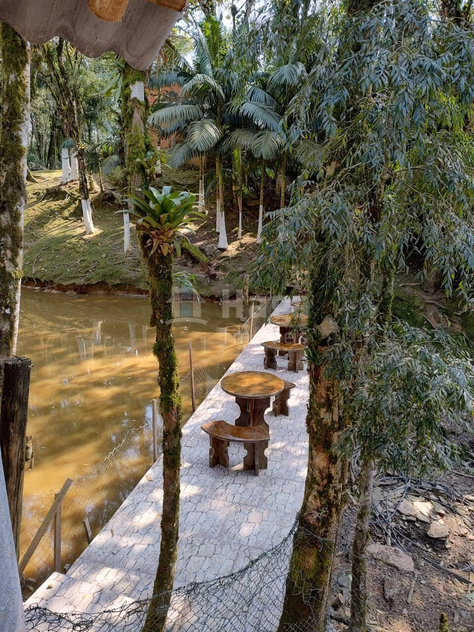 Farm of 4 acres in Rio dos Cedros, SC, Brazil