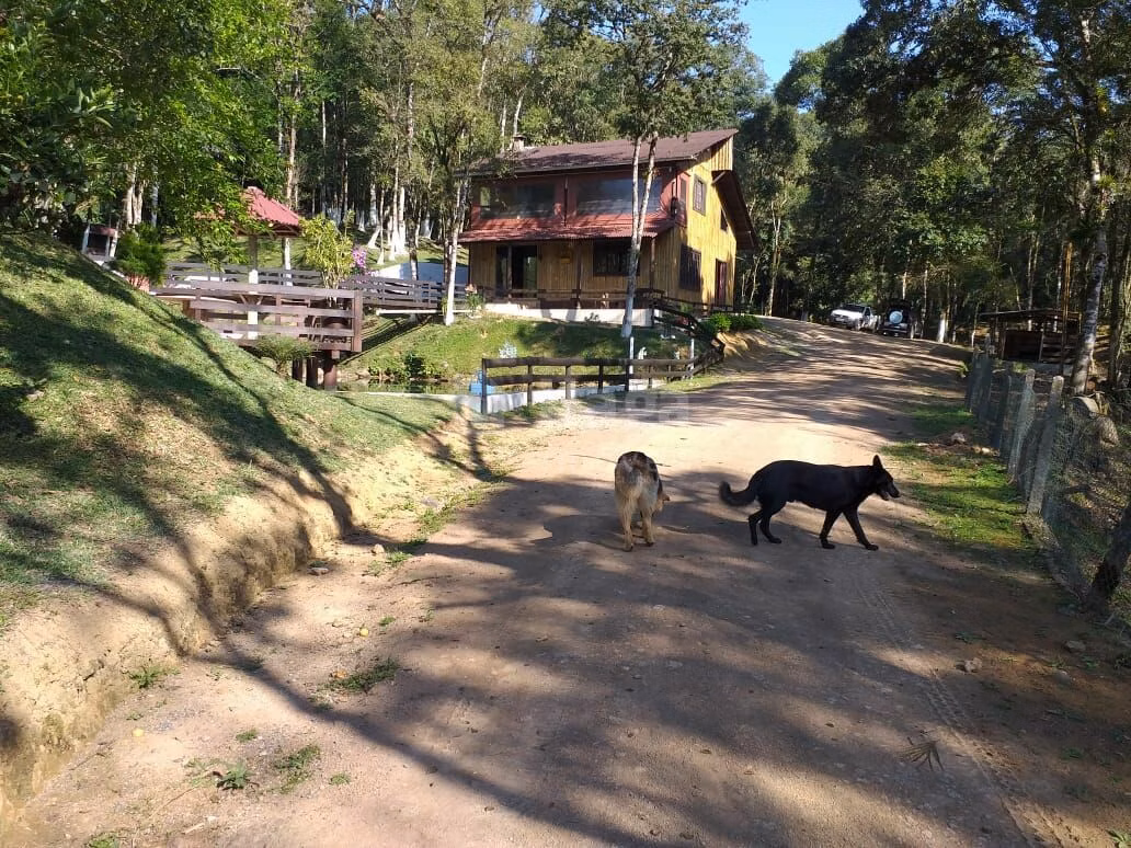 Farm of 4 acres in Rio dos Cedros, SC, Brazil