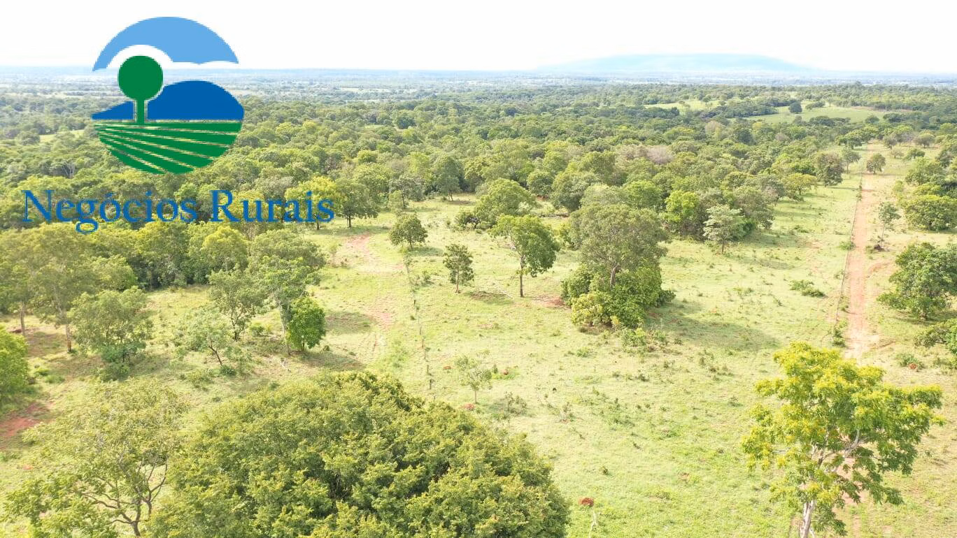 Fazenda de 1.055 ha em Formoso, GO